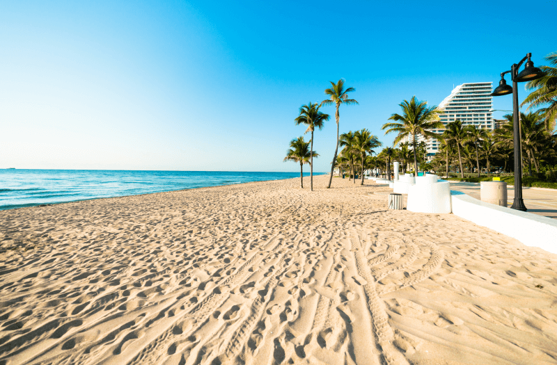 Beach with palm trees on sunny day with building and clear sky in the background