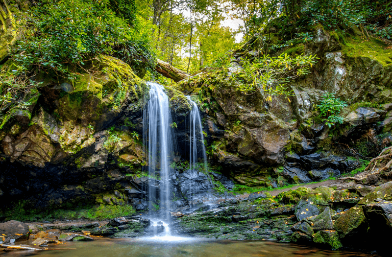 View from below of a waterfall in the forest