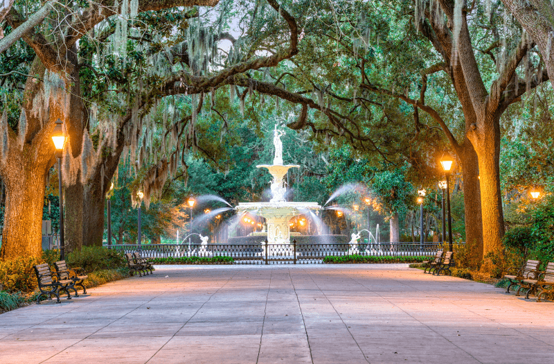 Pedestrian path surrounded by trees and illuminated by streetlights that leads to a fountain