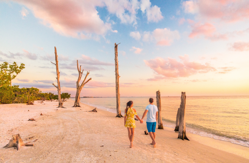 A couple holding hands walks along a sandy beach during sunset, surrounded by driftwood and calm sea waves.