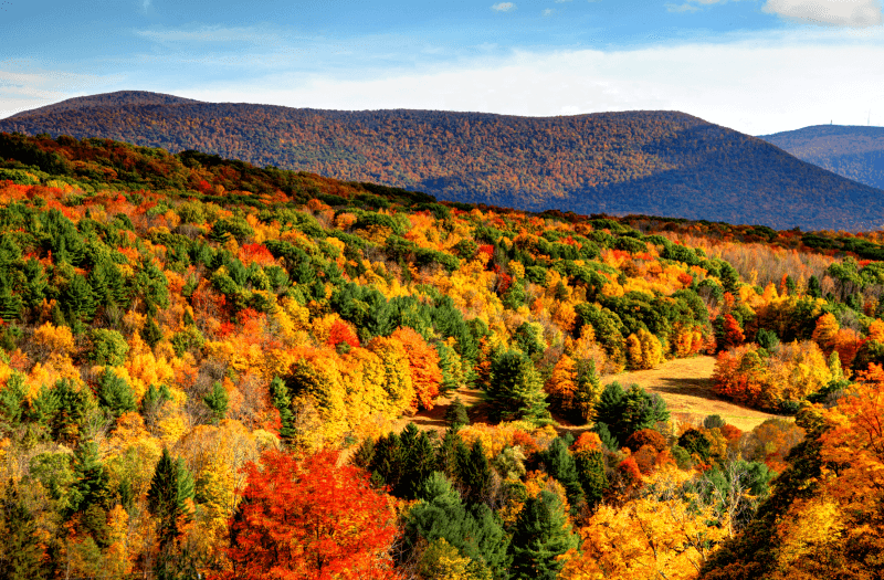 A breathtaking view of vibrant fall foliage adorning the mountains, showcasing nature's colorful transformation.