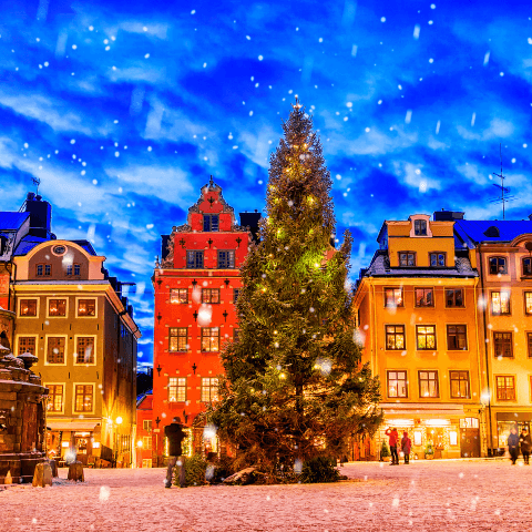 Christmas tree in a square surrounded by buildings