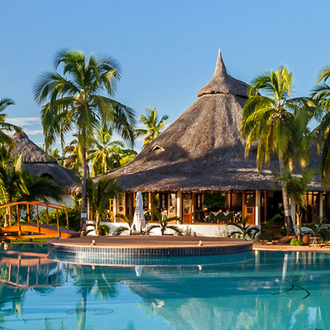 Palms roof hut next to pool