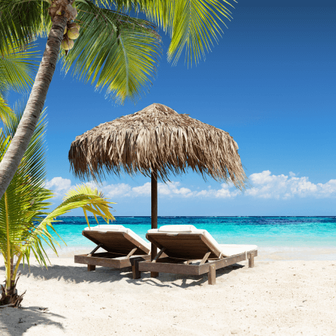 Lounge chairs on the beach with palm tree umbrella and sea in the background