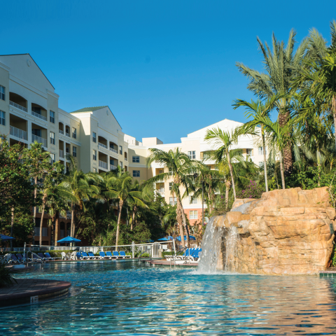 View of a swimming pool with artificial waterfall surrounded by palm trees and buildings, with clear sky in the background