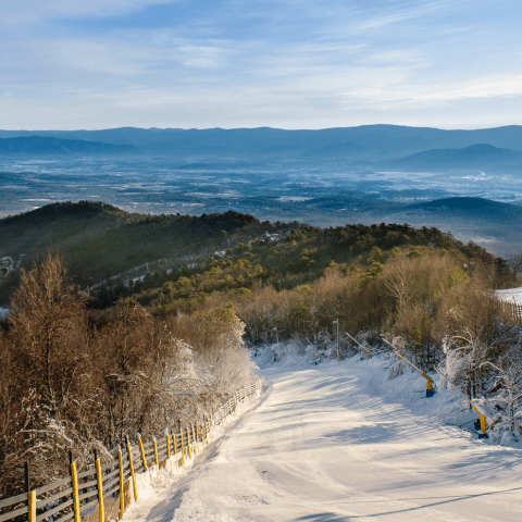 Snowy trail surrounded by trees and mountains in the background