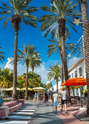 View of a pedestrian path surrounded by palm trees and buildings with clear sky in the background