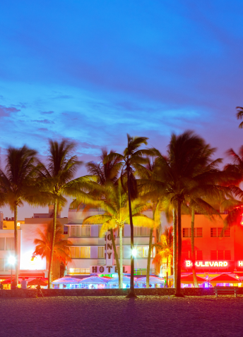 Night view of beach with palm trees and buildings, with dusk sky in the background