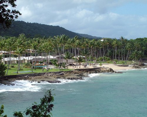 Caliente Nudist Resort - Caliente Caribe #C266 Details : RCI