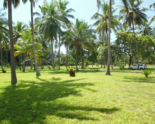 Watamu Tropical Resort