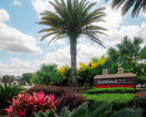 Saddlebrook Resort